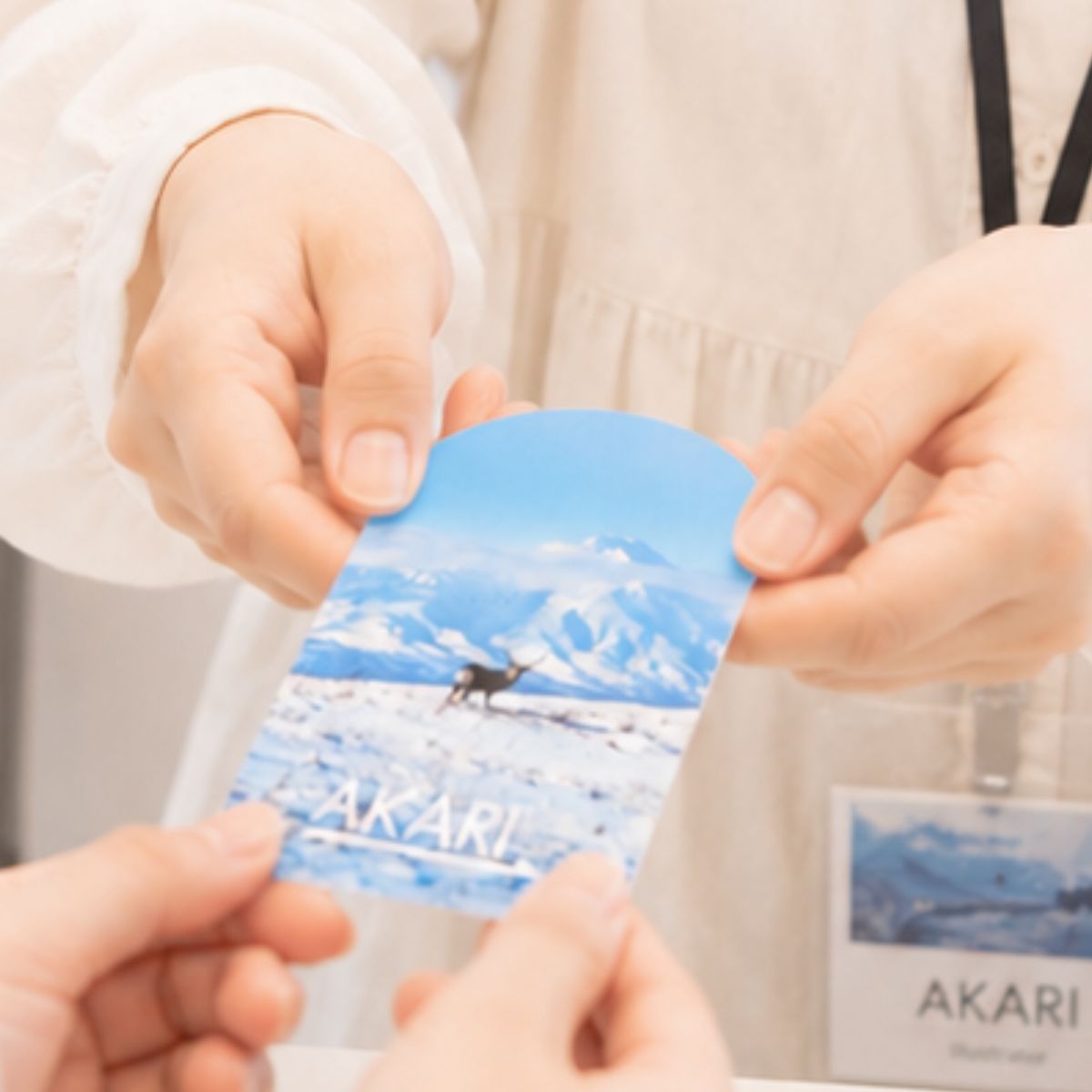 イラストレーターや写真家がクリエイティビティをアピールするための、個性的なアーチ型やスリム型のデザイン名刺の利用イメージ